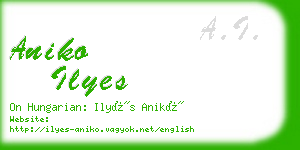 aniko ilyes business card